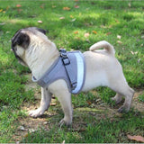 Reflective Airmesh Pet Harness: The Ultimate Comfort And Safety