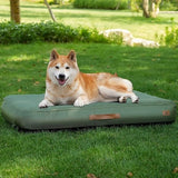 Indoor and outdoor inflatable dog bed