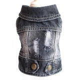 Stylish Denim Dog Jacket.