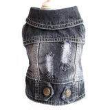 Stylish Denim Dog Jacket.