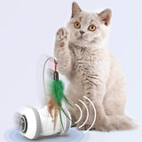 Interactive Cat Toy With Interchangeable Pet Feather Toys