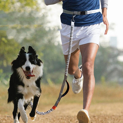 Ultimate Outdoor Adventure Dog Leash