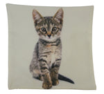 Calico Cat Pillow Cat Decor
