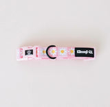Precious Peach Daisy Dog Collar