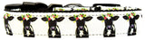 Dog Nylon Collar Or Leash, "Pretty Baby Cows"