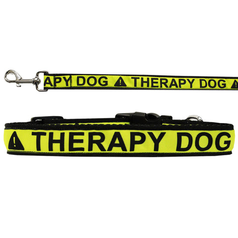 Dog Nylon Collar or Leash "Therapy Dog"