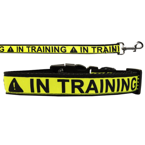 Dog Nylon Collar Or Leash, "In Training"