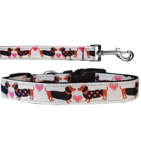 Dog Nylon Collar or Leash, "Pink Doxie Love"