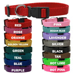 Dog Nylon Leash Plain