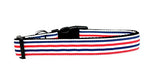Dog & Cat Nylon Collar Or Leash, "Patriotic Stripes"