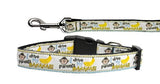 Dog & Cat Nylon Collar or Leash, "Monkey Madness"