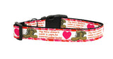 Dog Nylon Collar Or Leash, "Combat Boots"