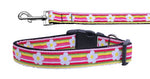 Dog Nylon Collar Or Leash, "Striped Daisy"