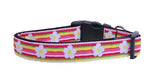 Dog Nylon Collar Or Leash, "Striped Daisy"