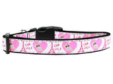 Dog & Cat Nylon Collar or Leash, "Oh La La Paris"