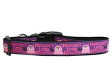 Dog & Cat Nylon Collar or Leash, "Mommy's Little Monster"