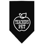 Dog Bandana Screen Printed, "Teachers Pet"