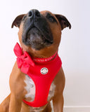 Scarlet Love Adjustable Dog Harness