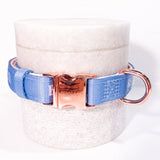 Sapphire Sky Dog Collar