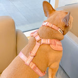 Coco Rosé Adjustable Harness