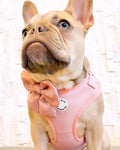 Coco Rosé Adjustable Harness