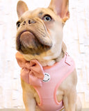 Coco Rosé Adjustable Harness