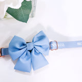 Sapphire Sky Dog Collar