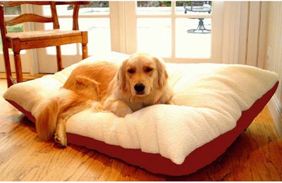 Extra Large Rectangle Pet Bed- Red