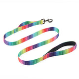 Matching Harness Leash & Collar Set