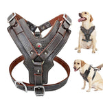 Durable Leather Dog Harness