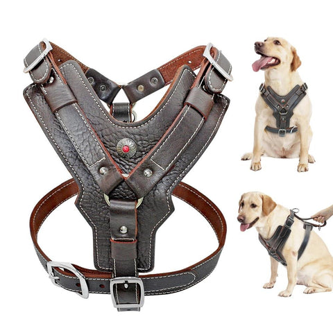 Durable Leather Dog Harness