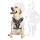 Durable Leather Dog Harness