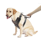 Durable Leather Dog Harness