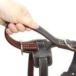 Durable Leather Dog Harness