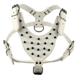 Leather Dog Harness Collar and Chain Leash Set Spiked Vest