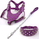 Leather Dog Harness Collar and Chain Leash Set Spiked Vest