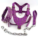 Leather Dog Harness Collar and Chain Leash Set Spiked Vest