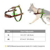 Real Leather Dog Harness