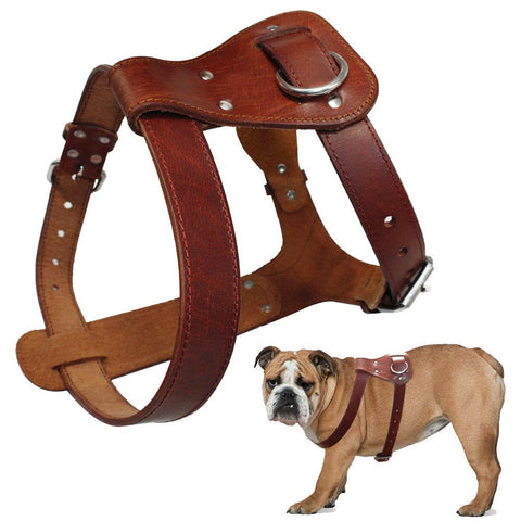 Genuine Brown Leather Dog Harness