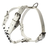 Leather Dog Harness Collar and Chain Leash Set Spiked Vest