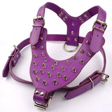 Leather Dog Harness Collar and Chain Leash Set Spiked Vest
