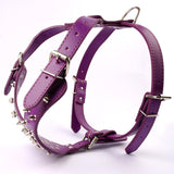 Leather Dog Harness Collar and Chain Leash Set Spiked Vest