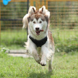 Durable Tactical Military No Pull Dog Vest Harness