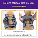 Adjustable Dog  Harness