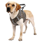 Adjustable Dog  Harness