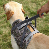 Adjustable Dog  Harness