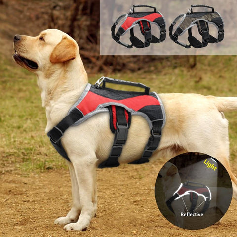 Reflective Dog Harness