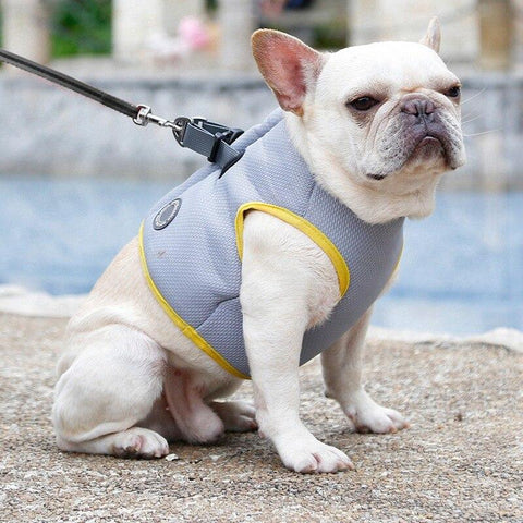 Adjustable Dog Harness