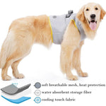 Adjustable Dog Harness