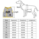 Adjustable Dog Harness